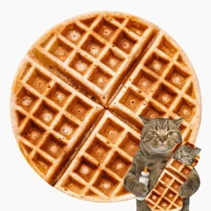 Plaid gaufre