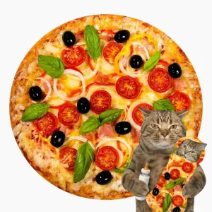 Plaid pizza végétarienne